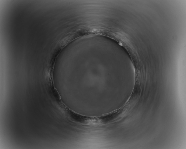 X0000089690415200707121339