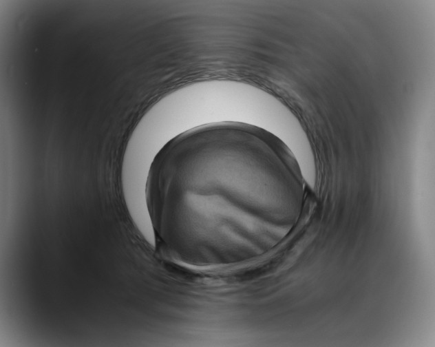 X0000089690417200707121339