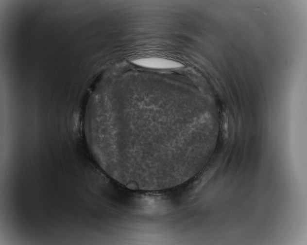 X0000089690420200707121339