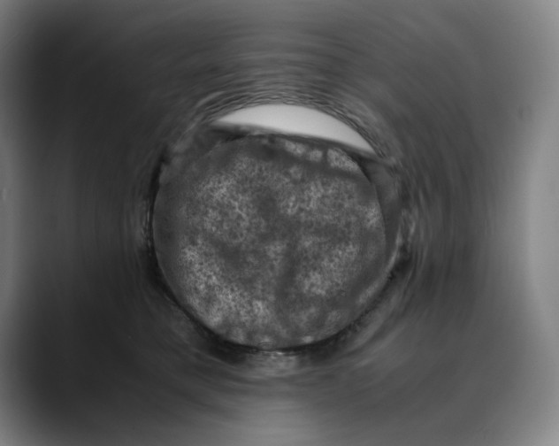 X0000089690421200707121339