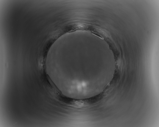 X0000089690423200707121339