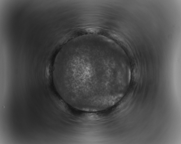 X0000089690424200707121339