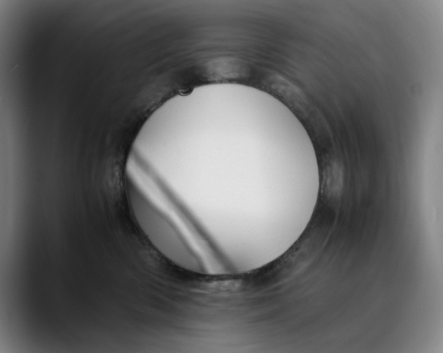 X0000089690426200707121339