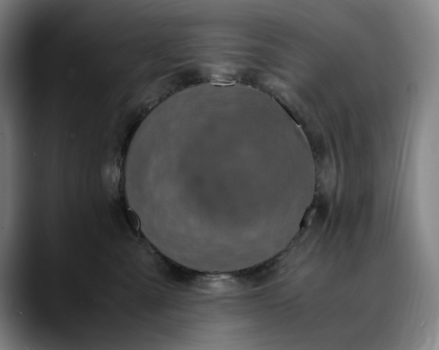 X0000089690427200707121339