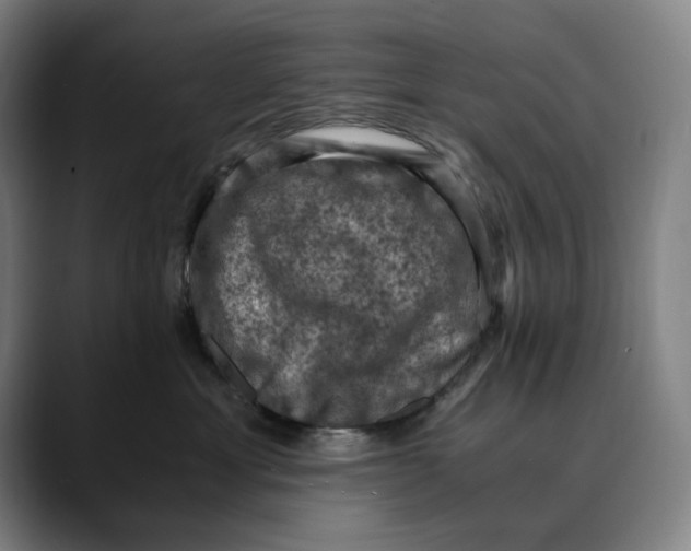 X0000089690429200707121339