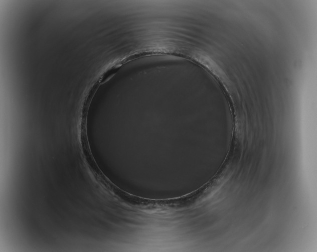 X0000089690434200707121339