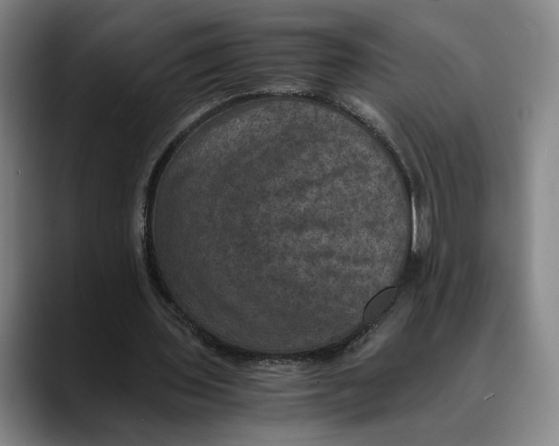 X0000089690435200707121339