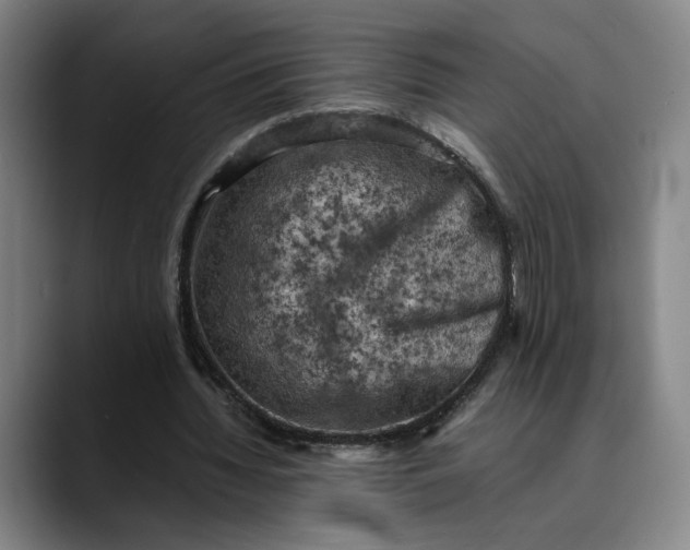 X0000089690436200707121339