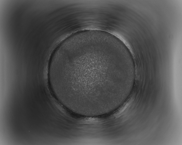 X0000089690437200707121339