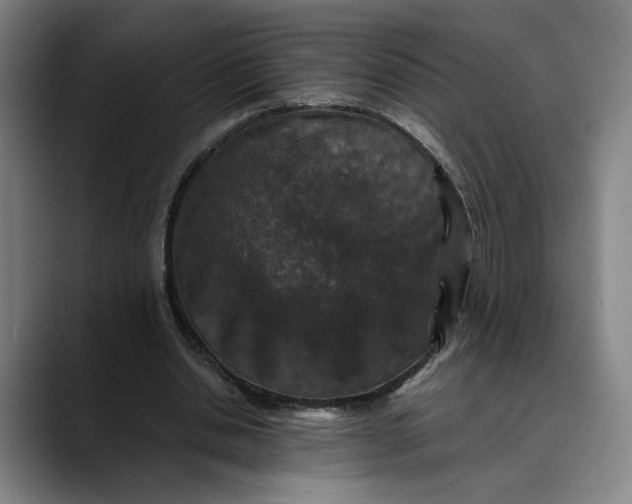 X0000089690438200707121339