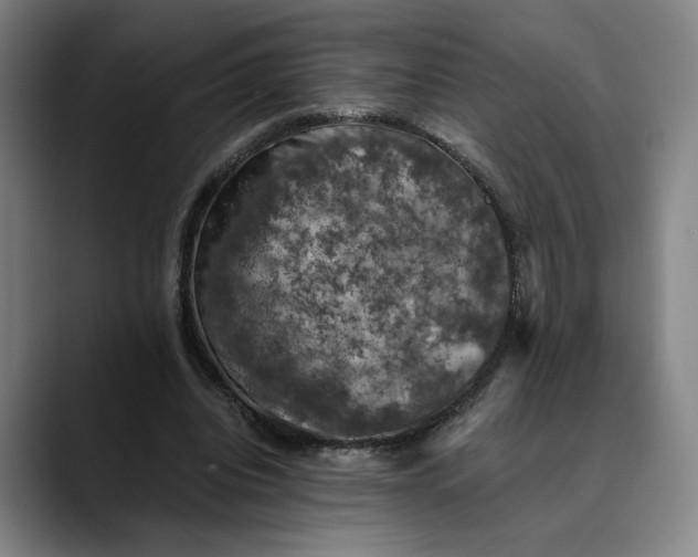 X0000089690440200707121339