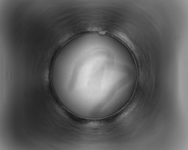 X0000089690441200707121339