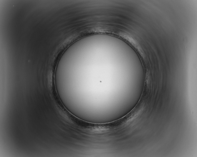 X0000089690445200707121339