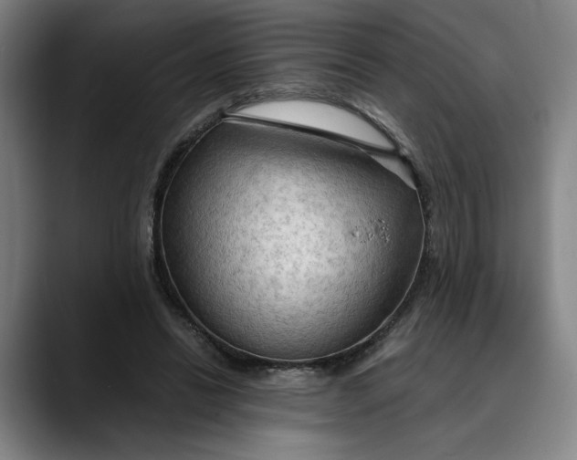 X0000089690446200707121339