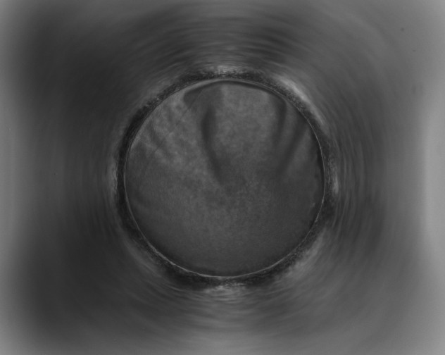 X0000089690447200707121339