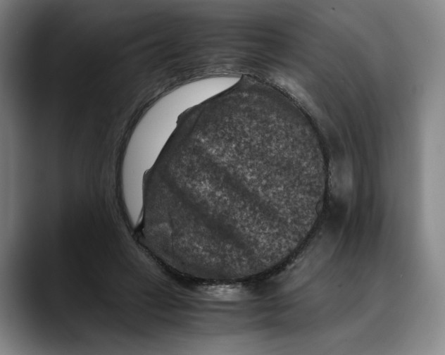 X0000089690449200707121339