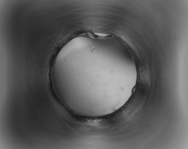 X0000089690450200707121339