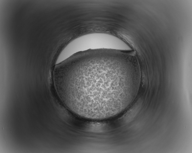 X0000089690453200707121339