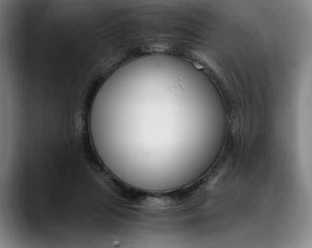 X0000089690455200707121339