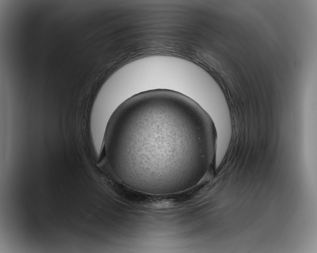 X0000089690456200707121339