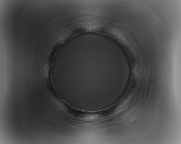 X0000089690458200707121339