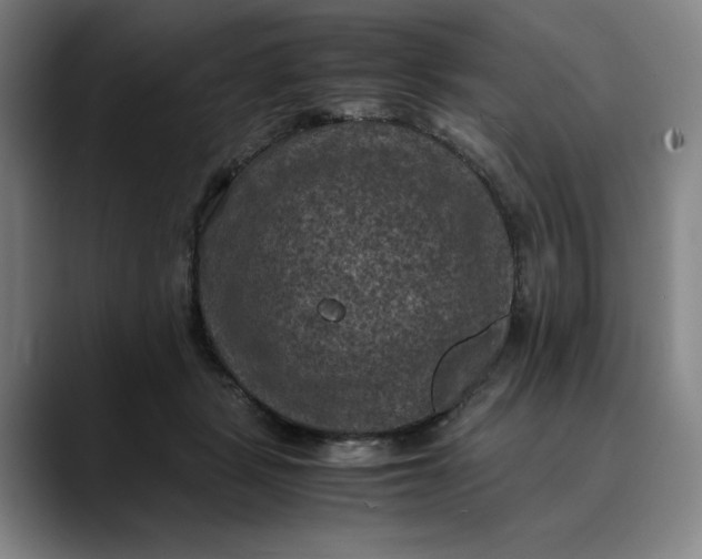 X0000089690461200707121339