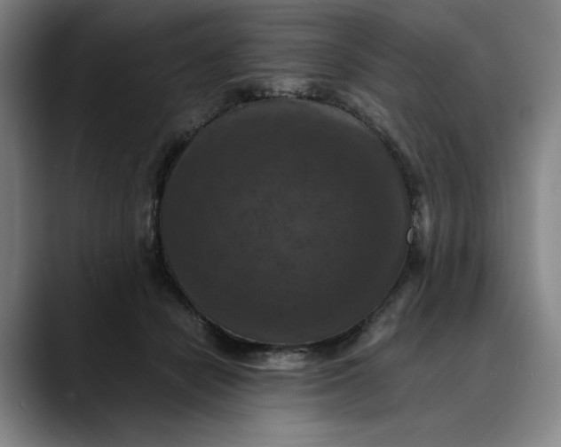 X0000089690462200707121339