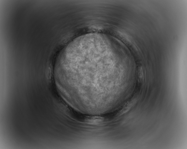 X0000089690463200707121339