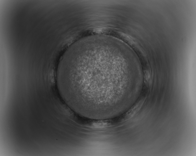 X0000089690470200707121339