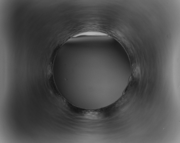 X0000089690471200707121339