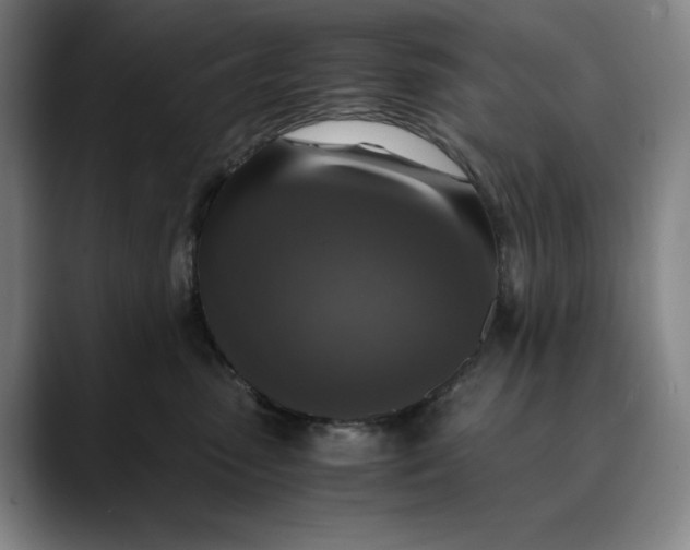 X0000089690475200707121339