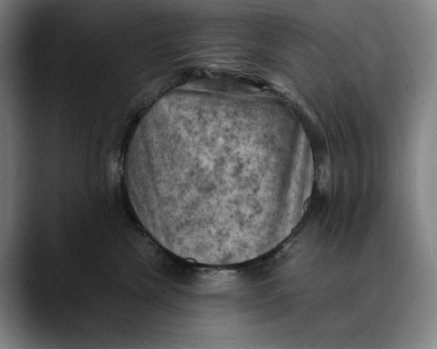 X0000089690476200707121339