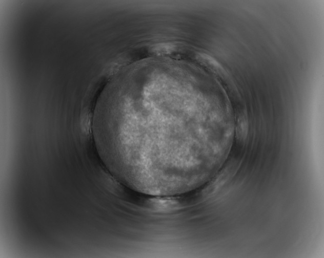 X0000089690477200707121339