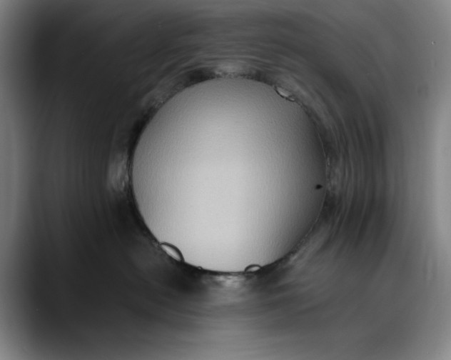 X0000089690478200707121339