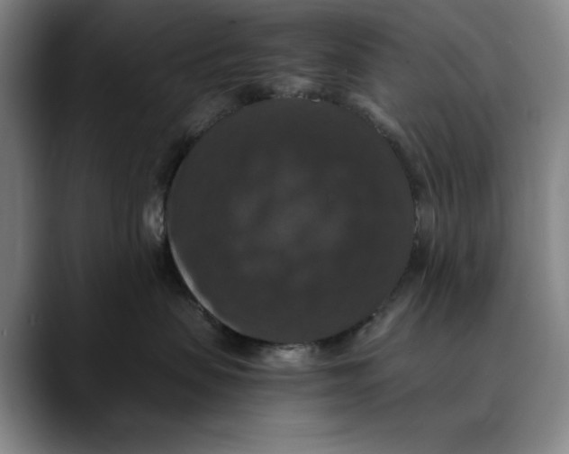 X0000089690479200707121339