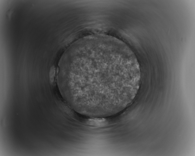 X0000089690480200707121339