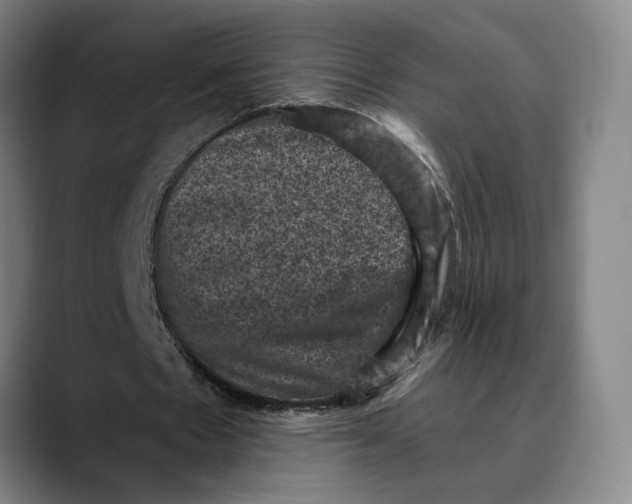 X0000089690481200707121339