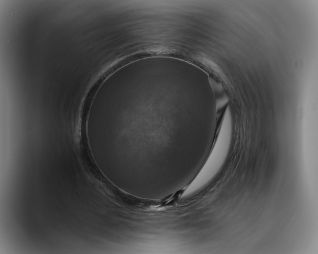 X0000089690484200707121339