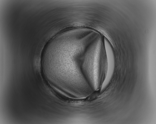 X0000089690485200707121339