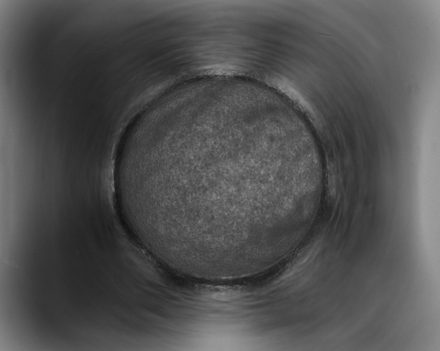 X0000089690486200707121339