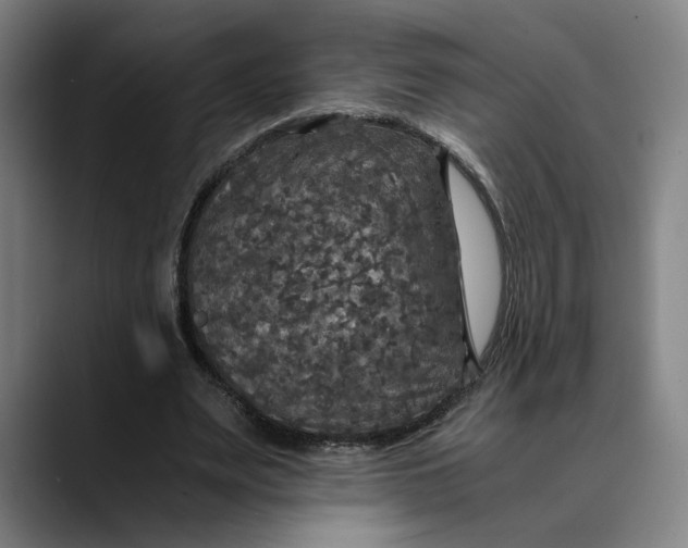 X0000089690487200707121339