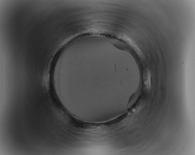 X0000089690488200707121339