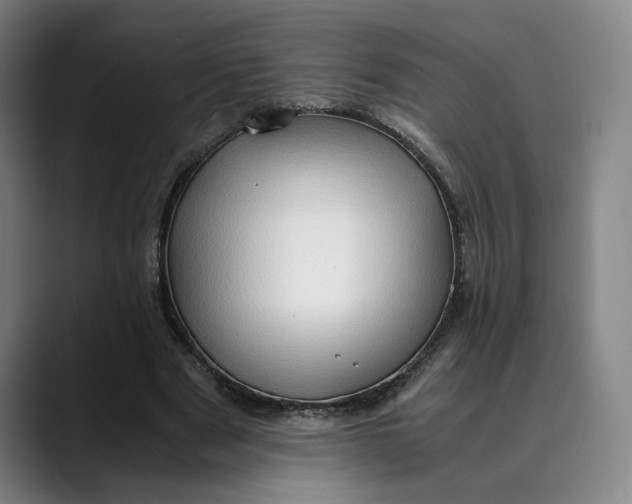 X0000089690489200707121339