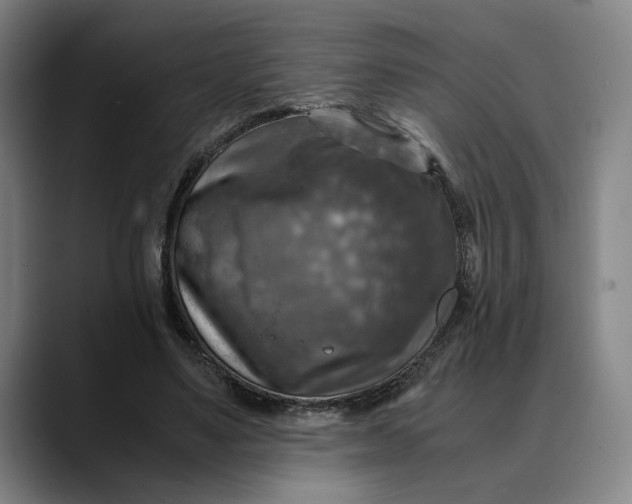 X0000089690491200707121339