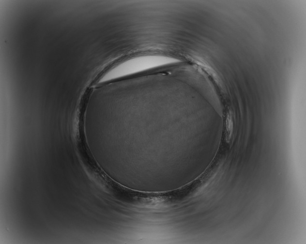 X0000089690492200707121339