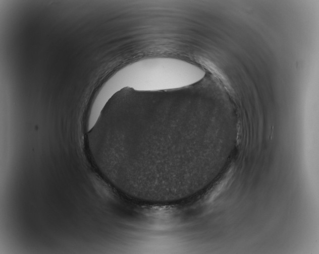 X0000089690493200707121339