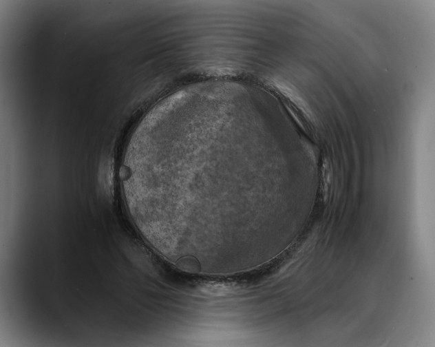 X0000089690494200707121339