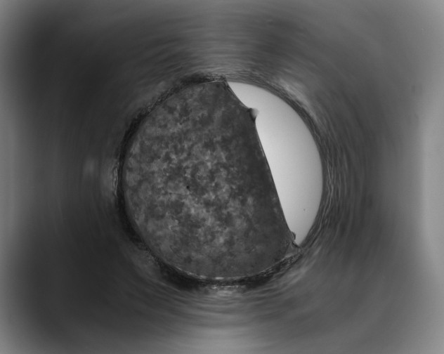 X0000089690495200707121339