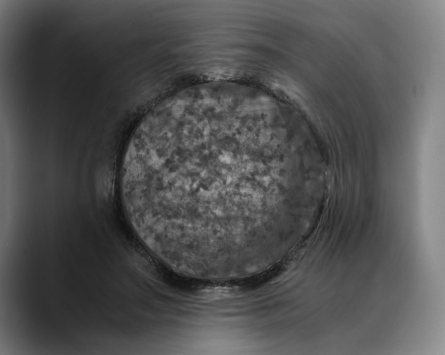 X0000089690499200707121338