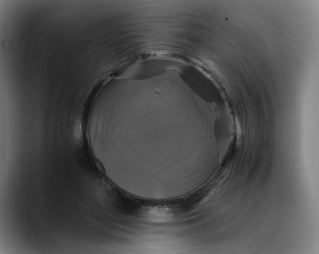 X0000089690500200707121338